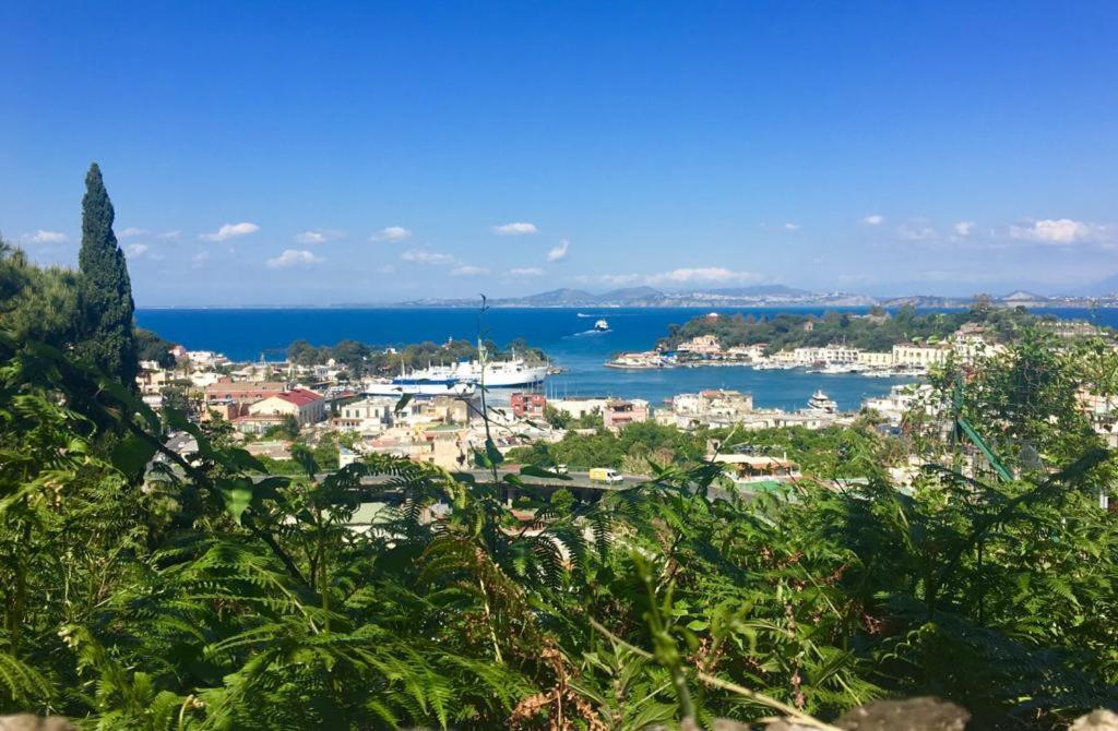 Giulia * Ischia